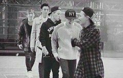 아니쇼바 왜 또