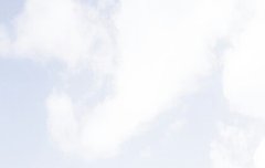 칻이) 벌써 우리챨수의 계절이 다가온다