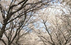 하이라이트 단콘 티켓팅 성공했는데