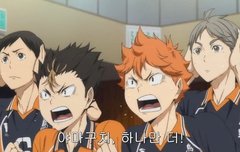 하이큐 만화책 전권 어디서 살까?!!