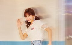 팬팔 투표, 스밍 인증