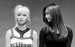 팬팔 투표, 스밍 인증