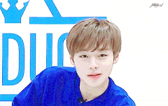 애긔들 ㅜㅜㅜㅜ