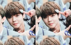 다같이 짤파티나 해볼까