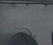 ㅁㅊ 다리가 얼마나 얇으면