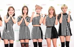 모모 팬팔 투표, 스밍 인증