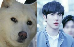 이와중에 김동한 진돗개상ㅋㅋㅋㅋ