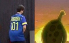 주학년 배진영팬이신분