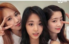 팬팔 투표, 스밍 인증