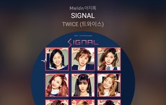 팬팔 투표, 스밍 인증