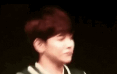 타팬인데 블락비