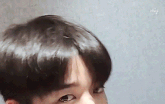 짤좀찾아즈세여