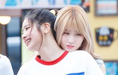 ㅁㅁ 팬팔 투표, 스밍 인증