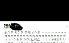 무엘아ㅠ내가한글알려줄게ㅠㅠㅠ