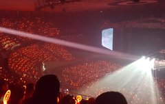 첫콘 응원봉(콘임시봉) 다른 색 버전