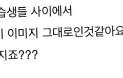 프듀 인터뷰 알바생 후기