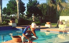 역시 패완얼인건가