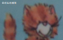 사담)저를불러주신분께