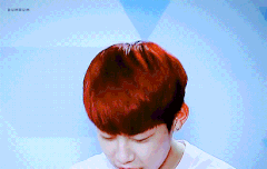 내일 완벽한 계획