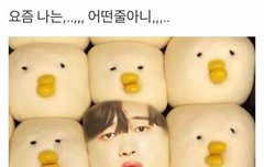 아니 진짜 우리 학교 프듀에 미침