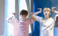 지림지림 윙깅이