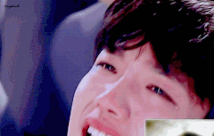 파카는 이제 머함?