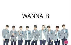 현실성이 없을수도 있지만 wanna be가 데뷔를 하게된다면 이렇게 생각해봤어