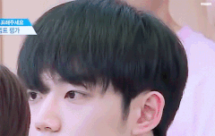 안형섭이 뭐라고