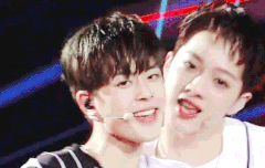 내가 제일 좋아하는 움짤