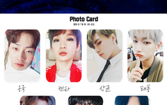 제비제 포카 갖고 싶다