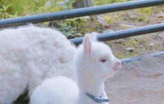 이거 그냥 임영민 아니냐...