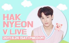 드디어 크래커가 일을 합니당ㅠㅠㅠㅠㅠ