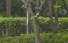 잠관만..ㅋㅋ 잠관...ㅋㅋ...ㅋㅋㅋ잠관.....