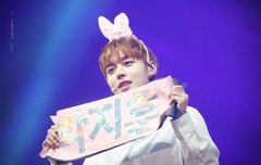 고화질 프리뷰 및 사진 (feat.요정)