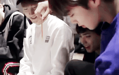 강아지랑 노는 지훈이 움짤가져왔어