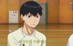 시험 내일 끝나는데 실컷놀고 밤에 하이큐 보고싶다