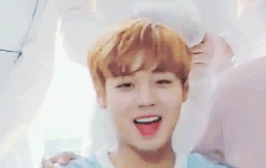 이정도면 최소 인간 댕댕이ㅠㅠ