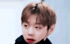 오늘 네캐 봤니?