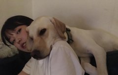 활동..이..고프다...