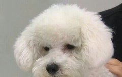 민기를 보며 드는 나의 생각