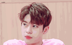 동동이 최애짤올리자!