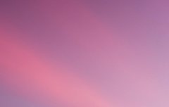 노후까지 생각하는 동호