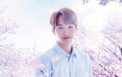 카이 주연 일드 봄이왔다 내년 1월 편성