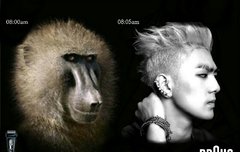 동호 광고 찍게해주자