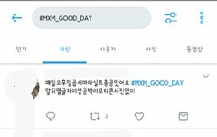 파랑새 실트총공