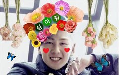 900넘은거 추카하꼬