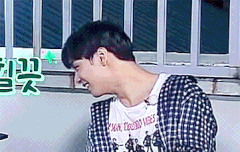 밤도깨비 짤 모음