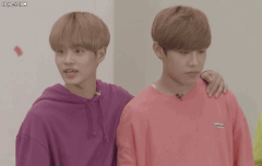 역시 브랜뉴팬들