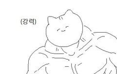 ㅅㅂ 뒷북인데 캘포 일 때문에 애들이 욕 먹는 거 보면 환멸난다