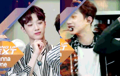 어느쪽이 좋아?